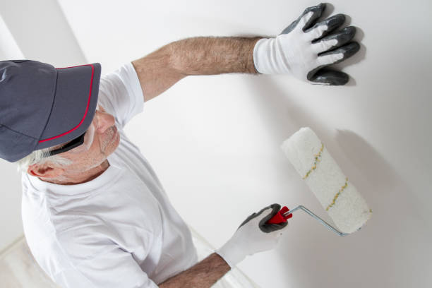 Best Attic Mold Removal  in Addison, IL