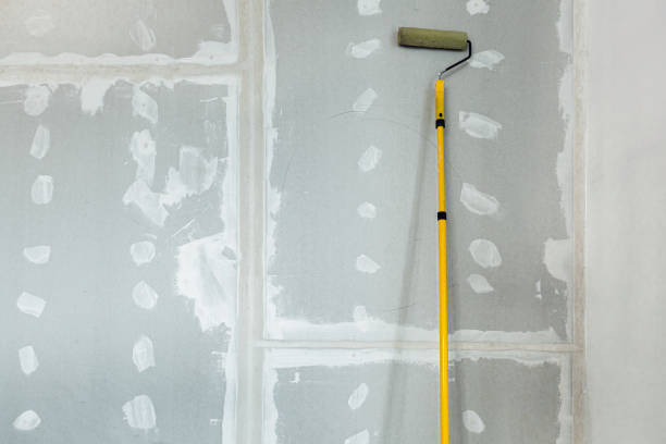 Best Asbestos and Lead Testing During Mold Inspection  in Addison, IL