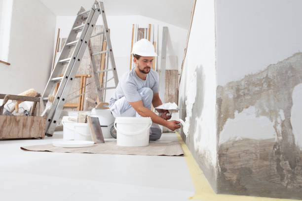 Best Commercial Mold Inspection  in Addison, IL