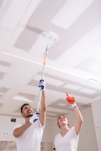 Best Industrial Mold Remediation  in Addison, IL