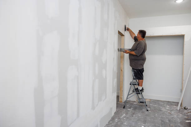 Best Post-Construction Mold Inspection  in Addison, IL