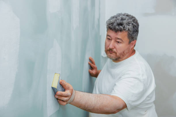 Professional Mold Removal in Addison, IL