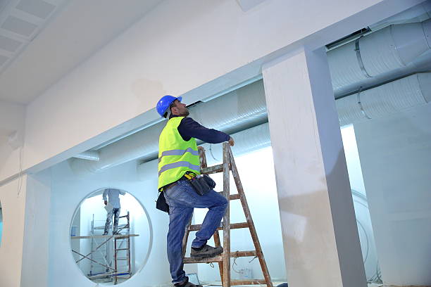 Best Mold Damage Restoration  in Addison, IL